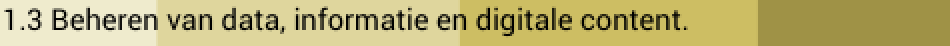 1.3 Beheren van data, informatie en digitale content